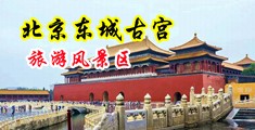 操屄无遮挡免费视频中国北京-东城古宫旅游风景区